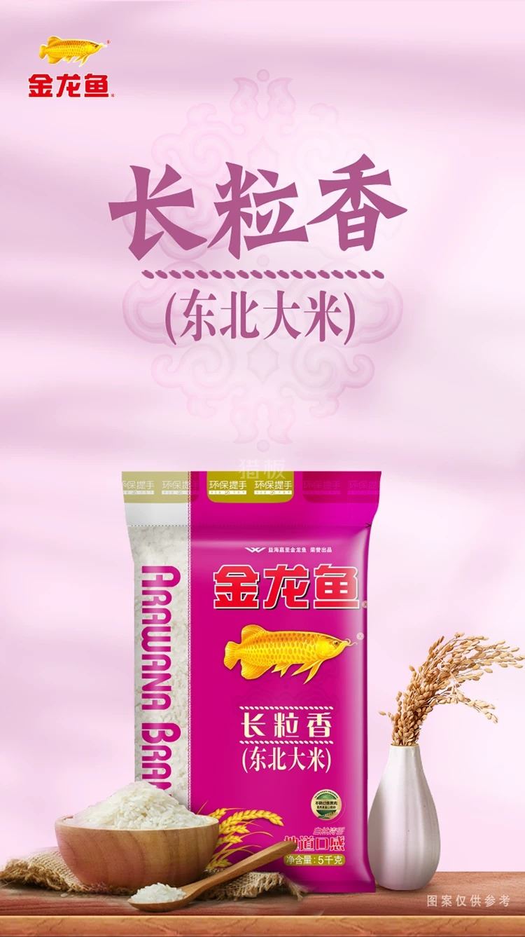 28f69c5b-c5e7-4a84-84b3-34c370eb274a.jpg