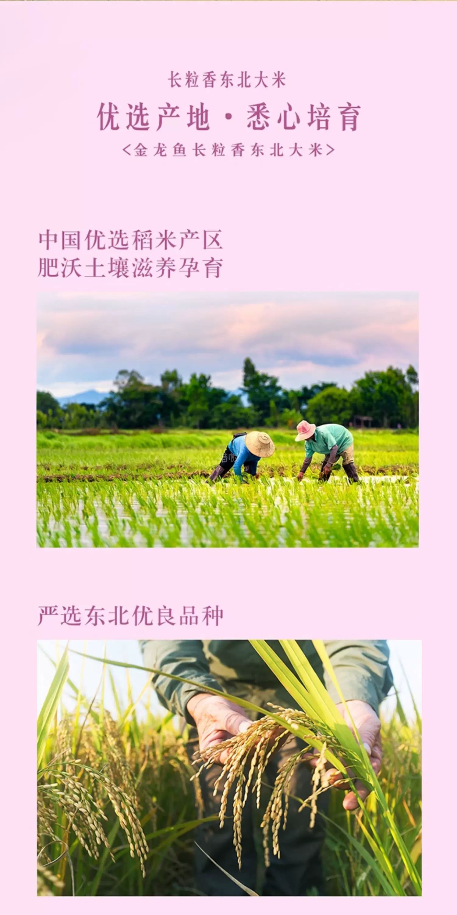 5eef73e3-903b-4cc4-8307-d6b8017a814d.jpg