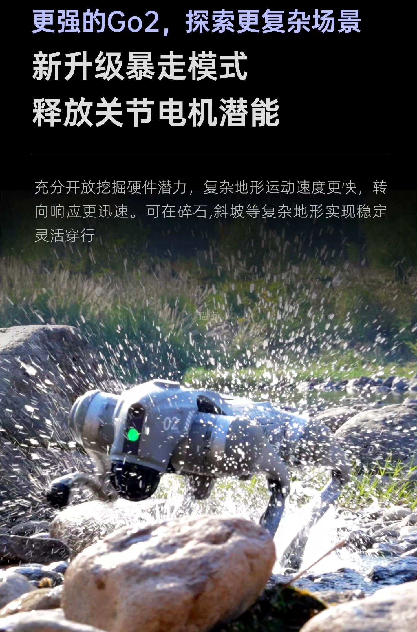 c5855030-f260-41da-bdff-678f1d820e94.jpg